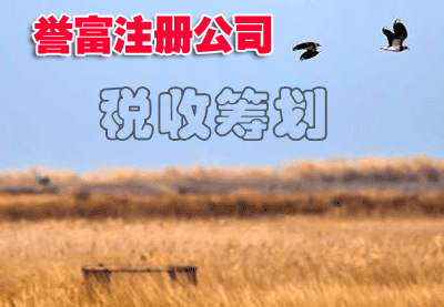 教你如何高效完成上海公司注冊(cè)? 教你如何高效完成上海公司注冊(cè)?